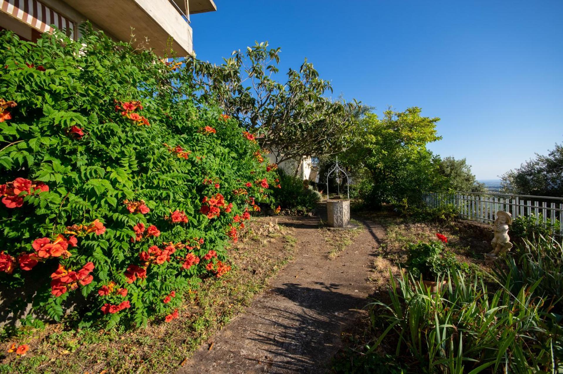 Villa Panoramica Garden Bike Масса-Мариттима Экстерьер фото