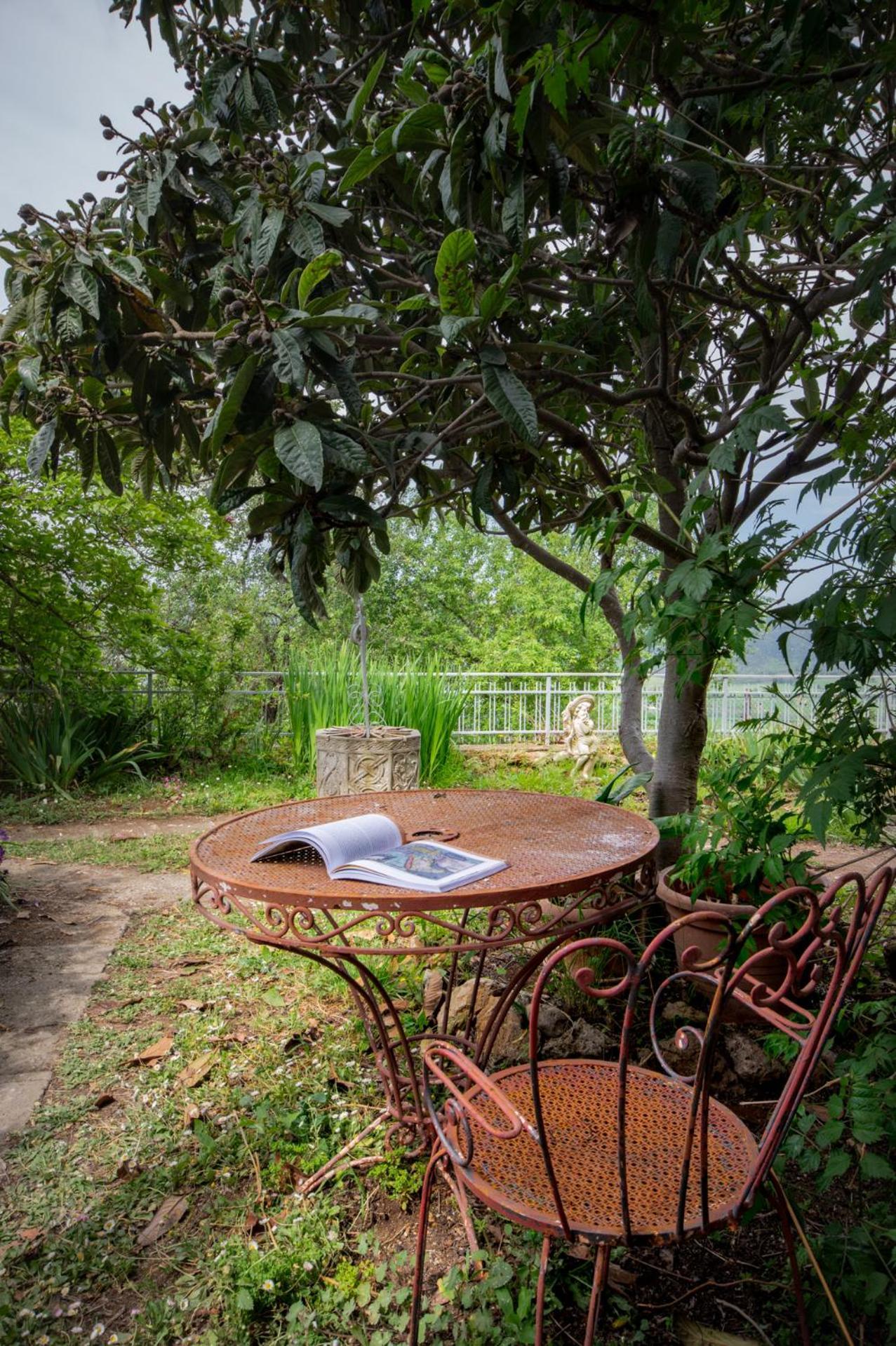 Villa Panoramica Garden Bike Масса-Мариттима Экстерьер фото