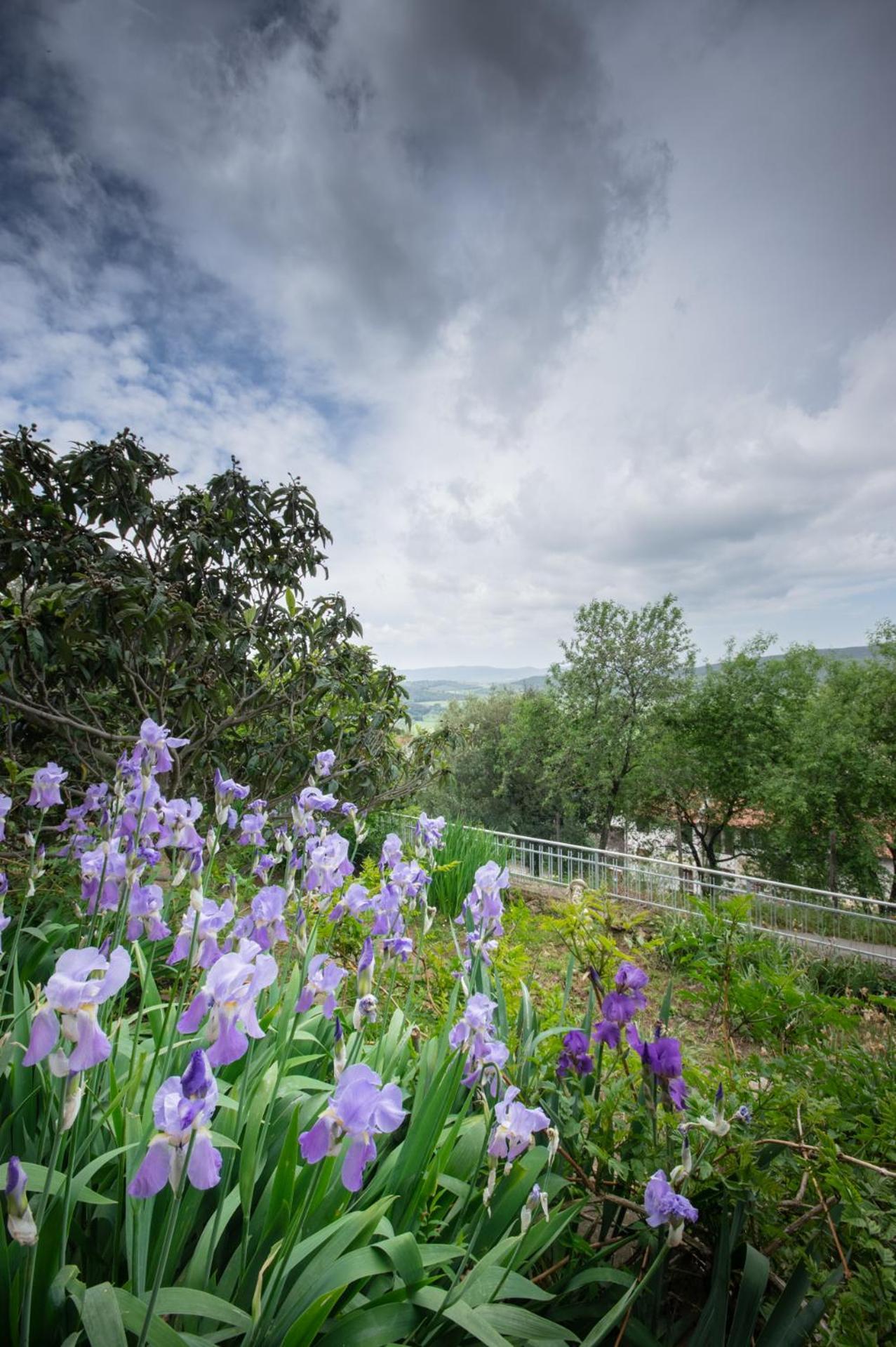 Villa Panoramica Garden Bike Масса-Мариттима Экстерьер фото